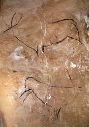 Due cervi, dalle grotte di Altamira, c.15000 a.C.
